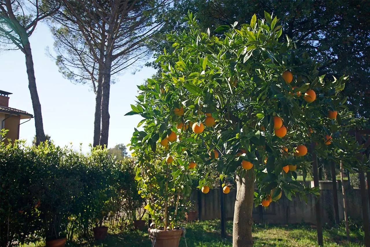 Bed&Breakfast Bel Giorgio Orentano Italien